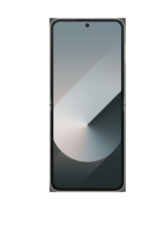 Galaxy Z Flip6 256GB - Silber
